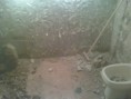/album/remodelacion-de-banos-/bano-3-jpg1/